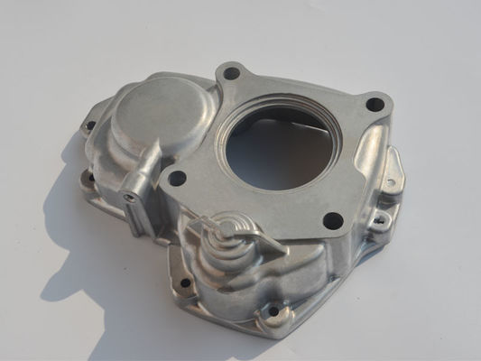 Custom Die Casting Mold Cast Iron Stainless Steel Aluminum Alloy Material